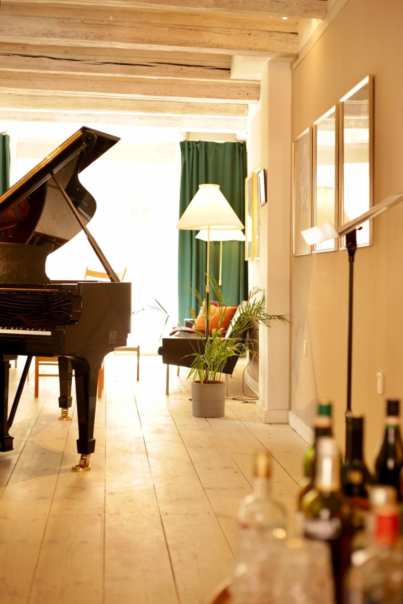 The Luxurious Townhouse Of Copenhague